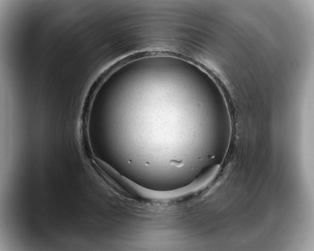 X0000088670928200706071456