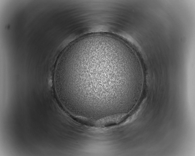 X0000088670929200706071457