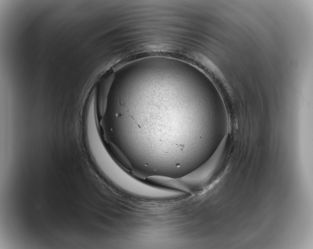 X0000088670930200706071457