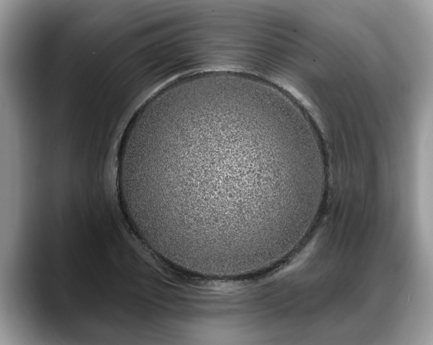 X0000088670933200706071457