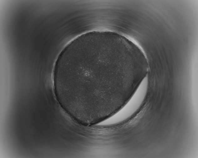 X0000088670935200706071457