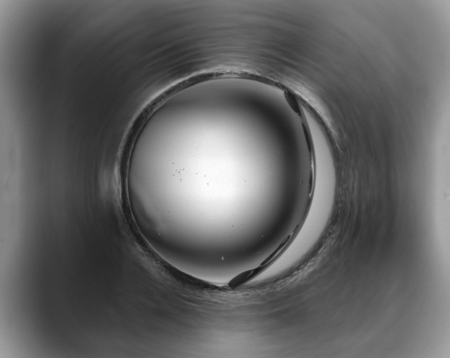 X0000088670936200706071457