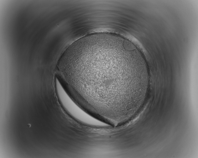 X0000088670937200706071457