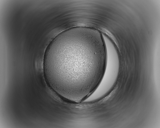 X0000088670938200706071457