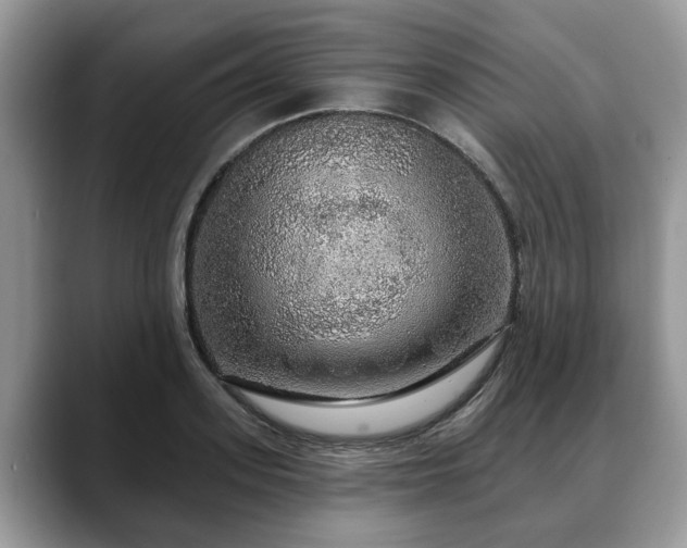 X0000088670939200706071457