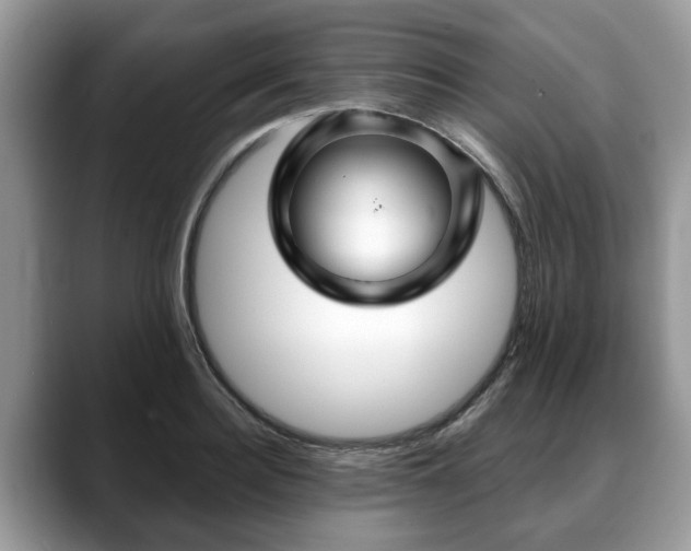 X0000088670940200706071457