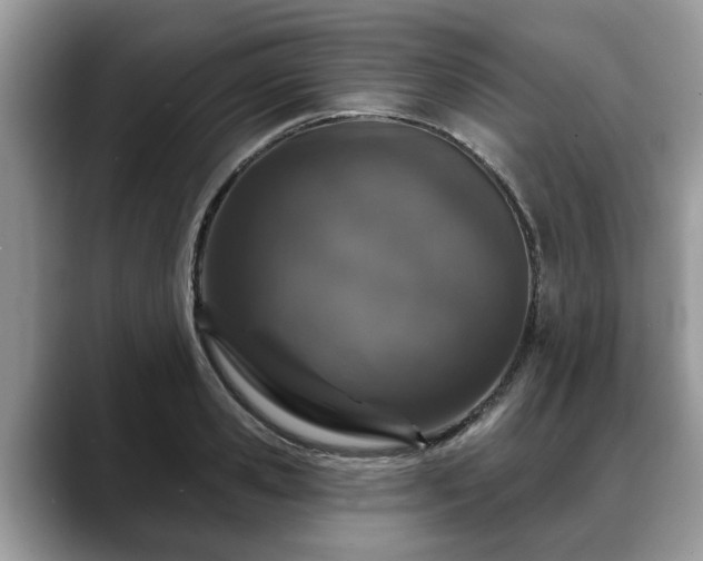 X0000088670941200706071457