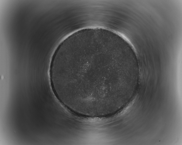 X0000088670943200706071457