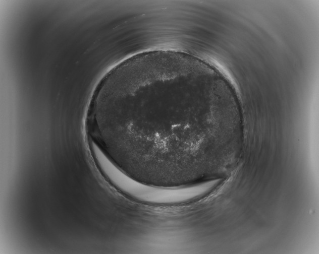 X0000088670944200706071457