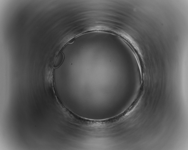 X0000088670945200706071457