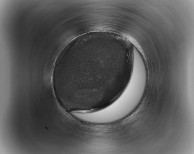 X0000088670946200706071457