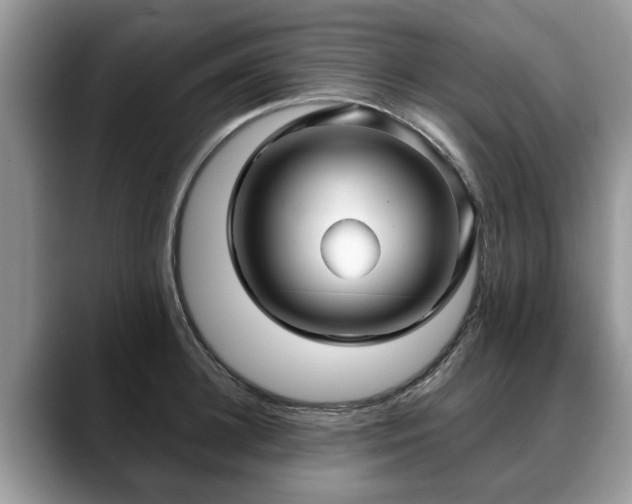 X0000088670948200706071457