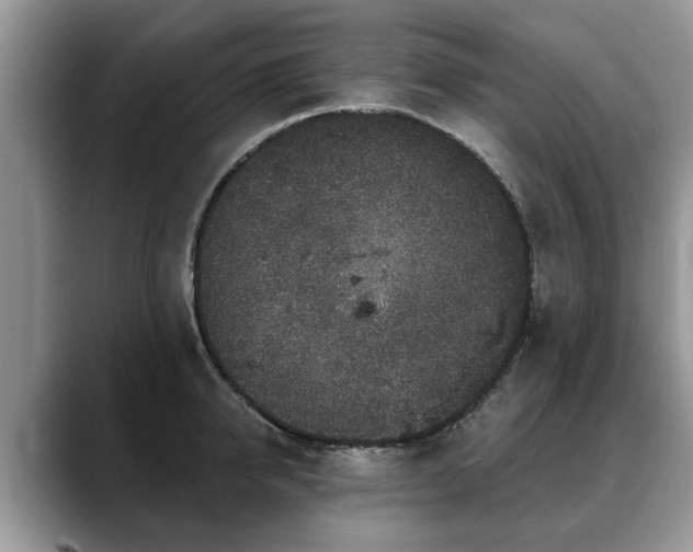 X0000088670950200706071457
