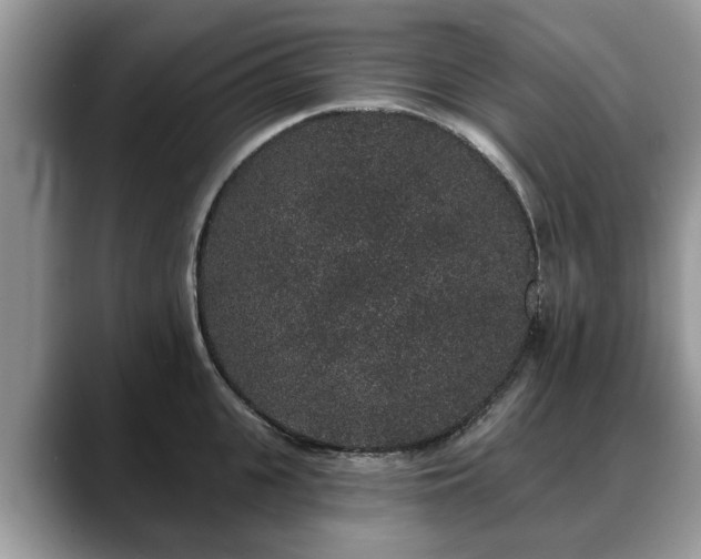 X0000088670951200706071457