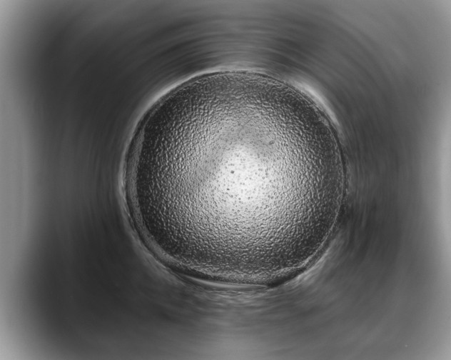 X0000088670952200706071457