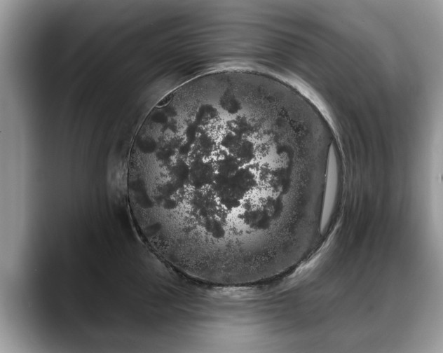X0000088670953200706071457