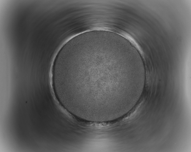 X0000088670955200706071457