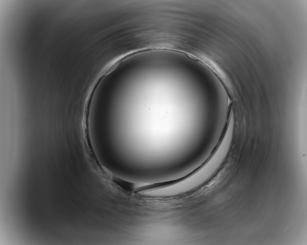 X0000088670956200706071457