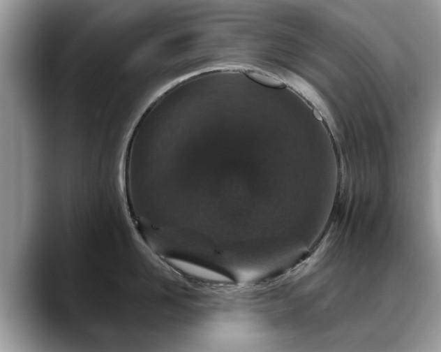 X0000088670958200706071457