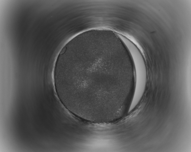 X0000088670959200706071457