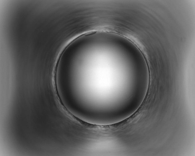 X0000088670960200706071457
