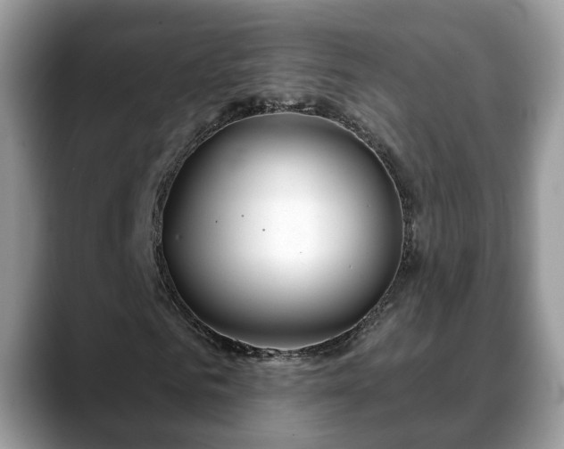 X0000088670961200706071456