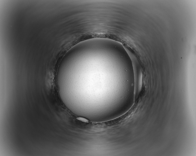X0000088670964200706071456