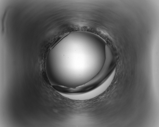 X0000088670965200706071456