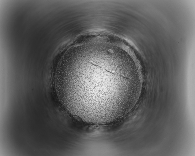 X0000088670967200706071456