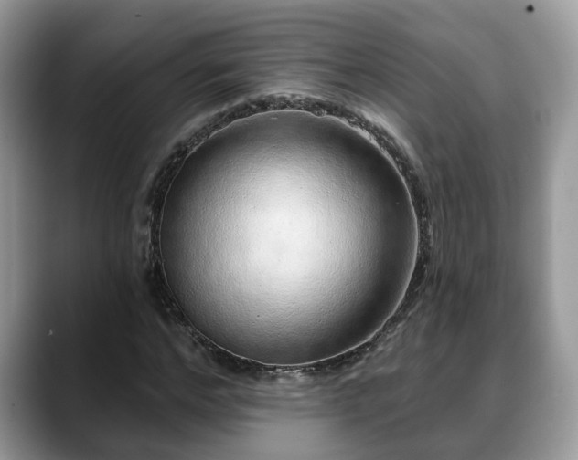 X0000088670968200706071456