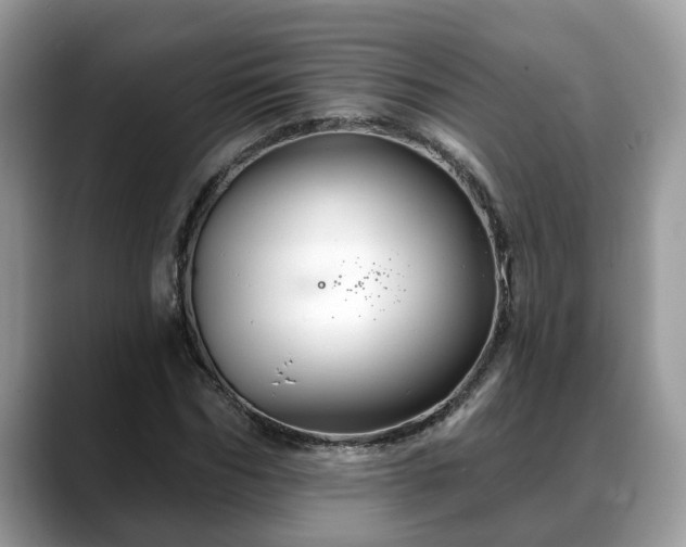 X0000088670970200706071456