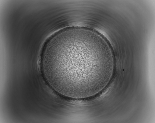 X0000088670971200706071456