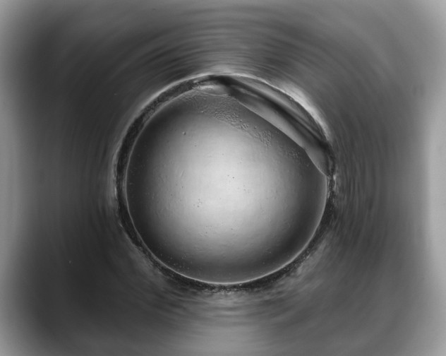 X0000088670972200706071456