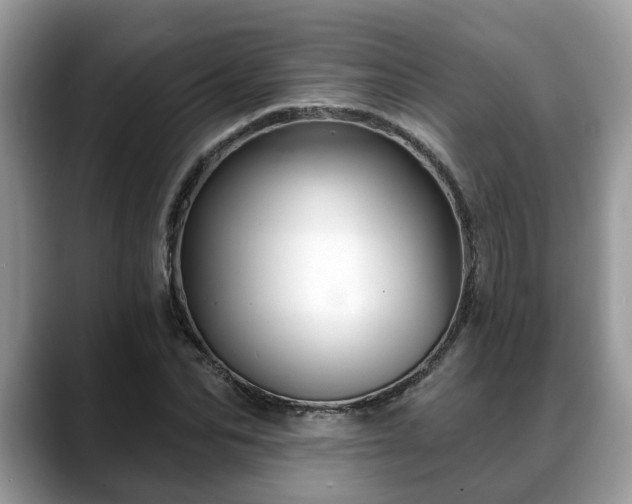 X0000088670974200706071456