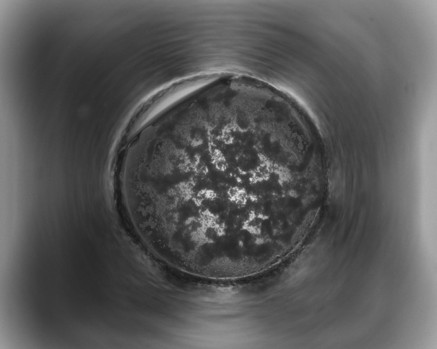 X0000088670975200706071456