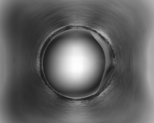 X0000088670976200706071456