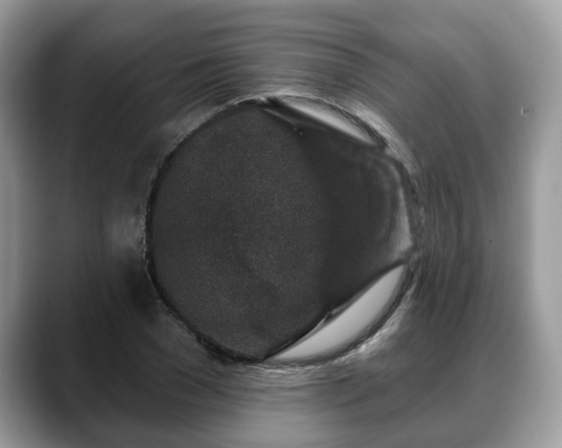 X0000088670977200706071456