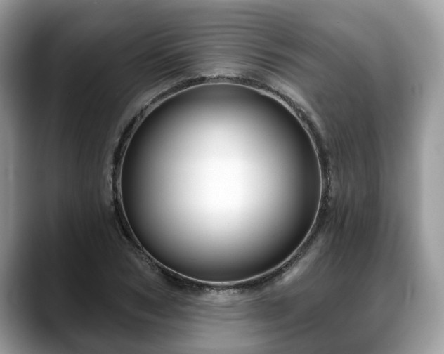 X0000088670978200706071456