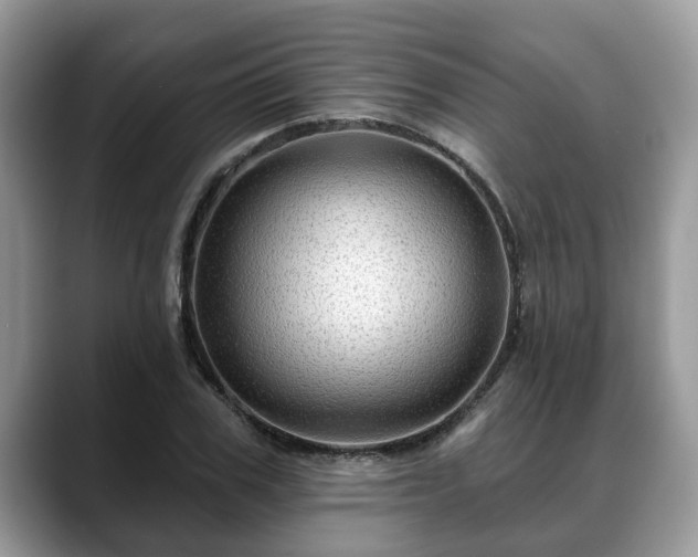 X0000088670979200706071456