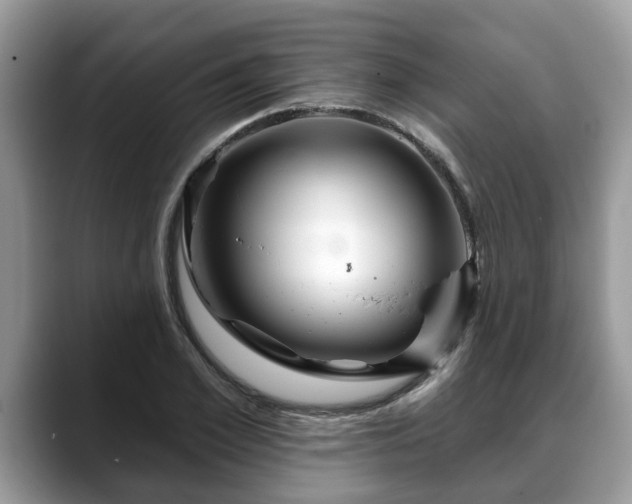 X0000088670981200706071456