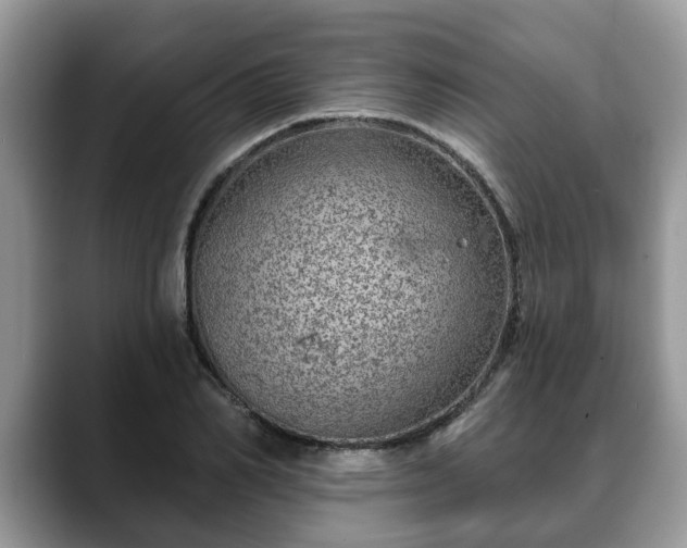 X0000088670982200706071456