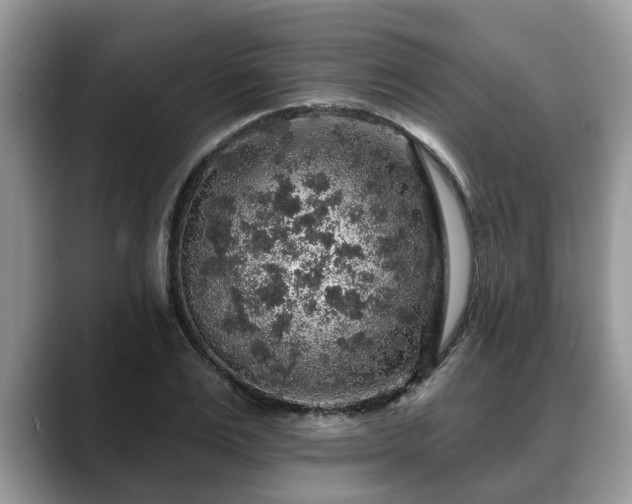 X0000088670983200706071456
