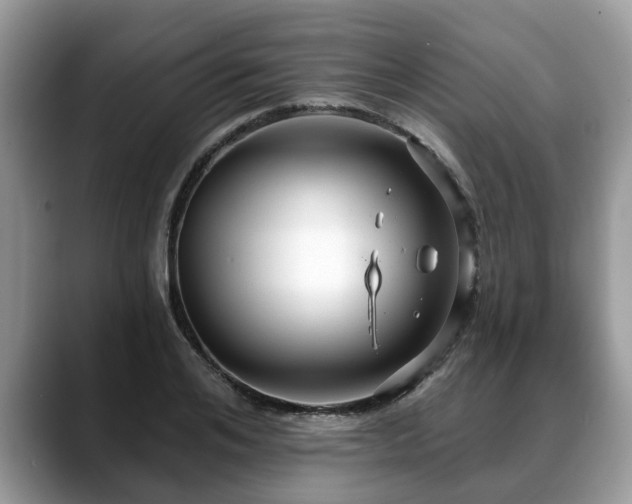 X0000088670984200706071456