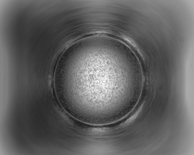 X0000088670985200706071456