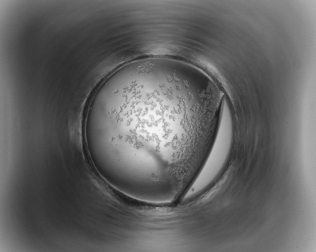 X0000088670986200706071456