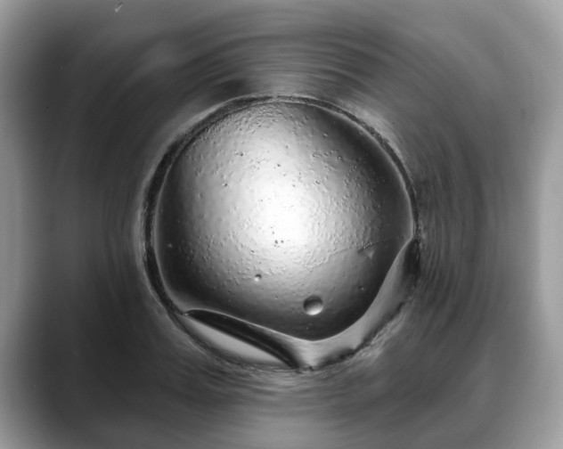 X0000088670987200706071456