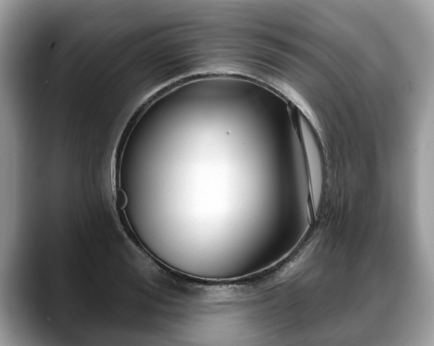 X0000088670988200706071456