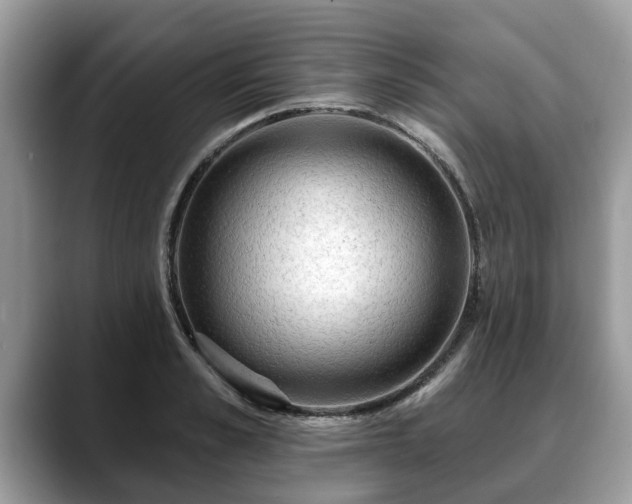 X0000088670989200706071456