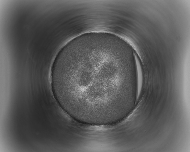 X0000088670990200706071456