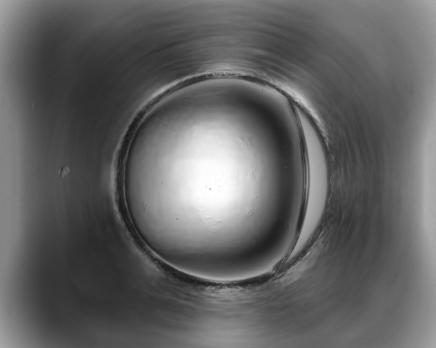 X0000088670991200706071456